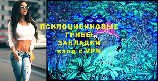 трава Снежинск
