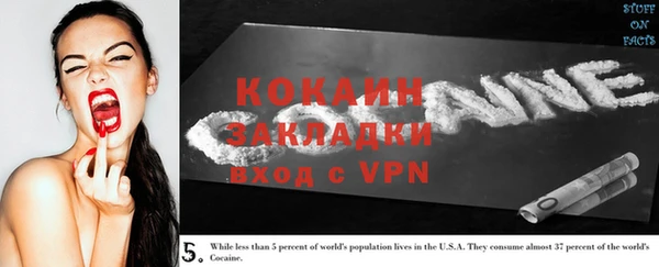 дурь Сосновый Бор