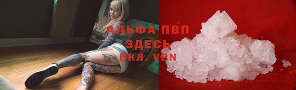 дурь Сосновый Бор