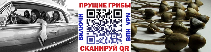 что такое наркотик  это формула  Псилоцибиновые грибы мухоморы  Сысерть 